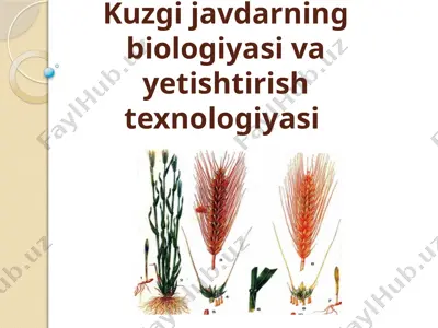kuzgi javdarning biologiyasi va yetishtirish texnologiyasi — PPTX
