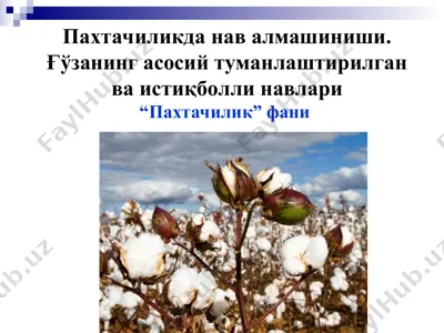 пахтачиликда нав алмашиниши. ғўзанинг асосий туманлаштирилган ва истиқболли навлари — PPT