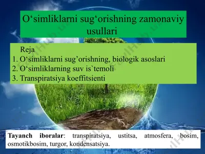 o'simliklarni sug'orishning zamonaviy usullari — PPTX