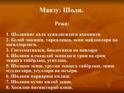 шоли — PPTX