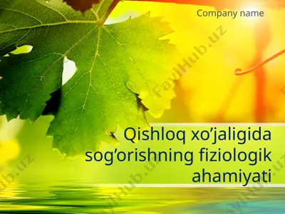 qishloq xo’jaligida sug’orishning fiziologik ahamiyati — PPTX