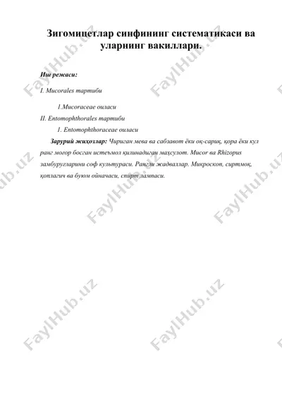 зигомицетлар синфининг систематикаси ва уларнинг вакиллари. — DOC