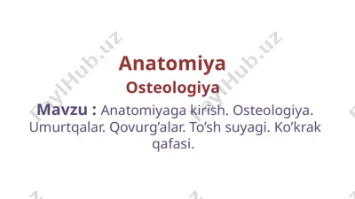 anatomiyaga kirish. osteologiya. umurtqalar. qovurg’alar. to’sh suyagi — PPTX