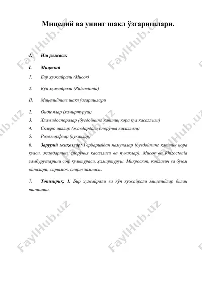 мицелий ва унинг шакл ўзгаришлари. — DOC