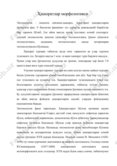 ҳашоратлар морфологияси — DOC