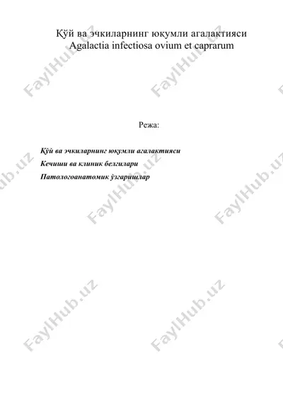 қўй ва эчкиларнинг юқумли агалактияси agalactia infectiosa ovium et caprarum — DOC