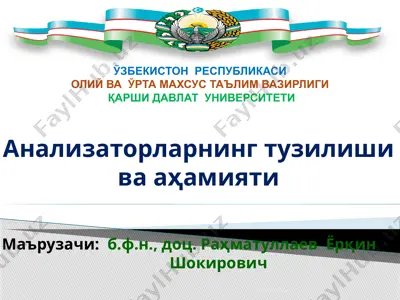 анализаторларнинг тузилиши ва аҳамияти — PPTX