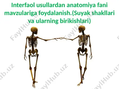 interfaol usullardan anatomiya fani mavzulariga foydalanish — PPTX