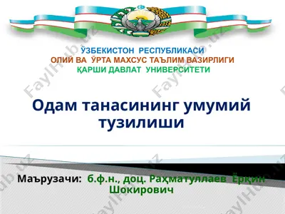 одам танасининг умумий тузилиши — PPTX