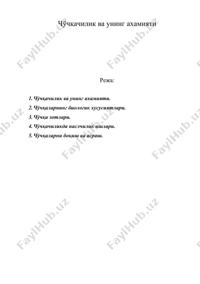 чўчқачилик ва унинг ахамияти — DOC
