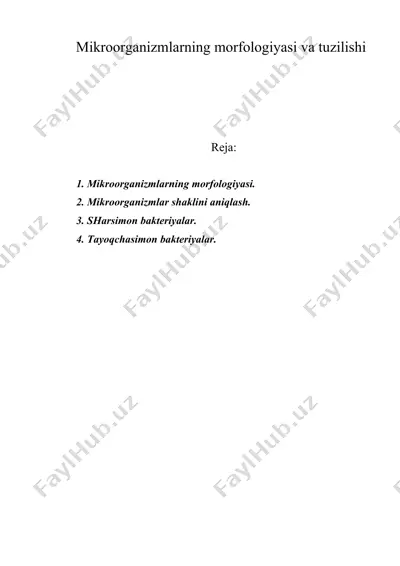 mikroorgаnizmlаrning morfologiyаsi vа tuzilishi — DOC