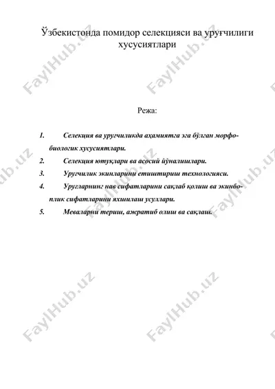 ўзбекистонда помидор селекцияси ва уруғчилиги ху¬сусиятлари — DOC