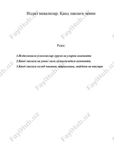 илдиз мевалилар. қанд лавлаги экини — DOC