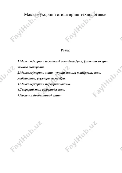 маккажўхорини етиштириш технологияси — DOC