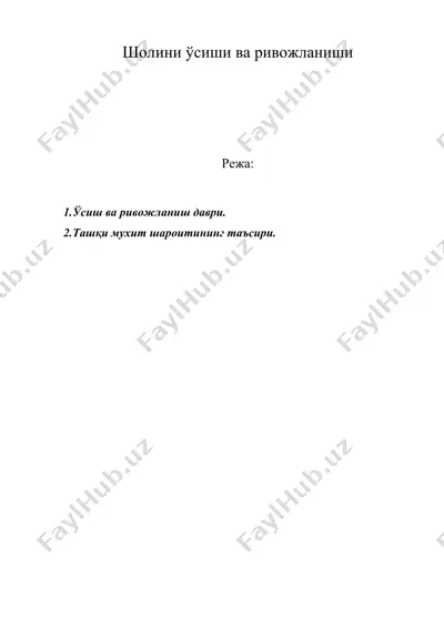 шолини ўсиши ва ривожланиши — DOC