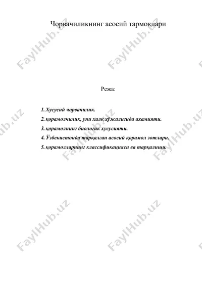 чорвачиликнинг асосий тармоқлари — DOC