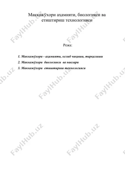 маккажўхори аҳамияти, биологияси ва етиштириш технологияси — DOC