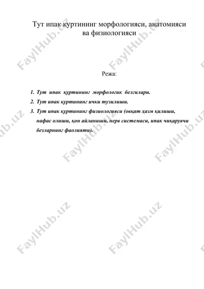 тут ипак қуртининг морфологияси, анатомияси ва физиологияси — DOC