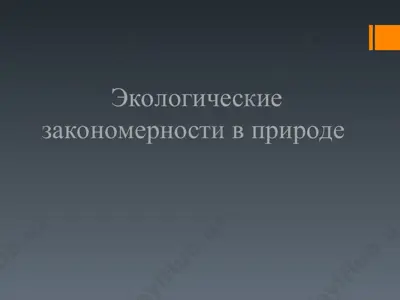 экологические закономерности в природе — PPT