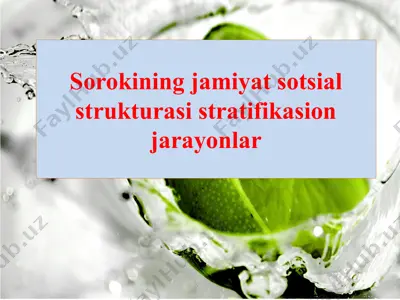 sorokining jamiyat sotsial strukturasi stratifikasion jarayonlar — PPTX