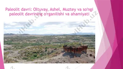 paleolit davri - oltuvay, ashel, muztey va soʻngi paleolit davrining oʻrganilishi va ahamiyati — PPTX