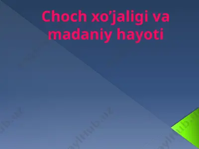choch xo’jaligi va madaniy hayoti — PPTX