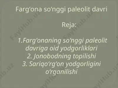 fargʻona soʻnggi paleolit davri — PPTX