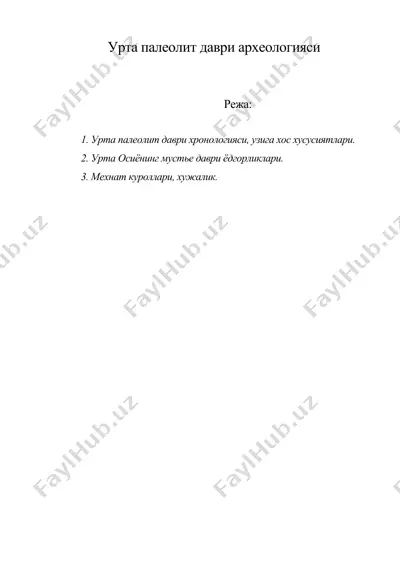 урта палеолит даври археологияси — DOC
