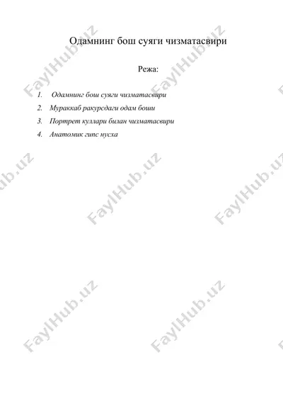 одамнинг бош суяги чизматасвири — DOCX