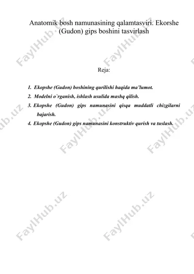 anatomik bosh namunasining qalamtasviri. ekorshe (gudon) gips boshini tasvirlash — DOC