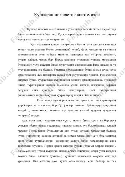 қушларнинг пластик анатомияси — DOC