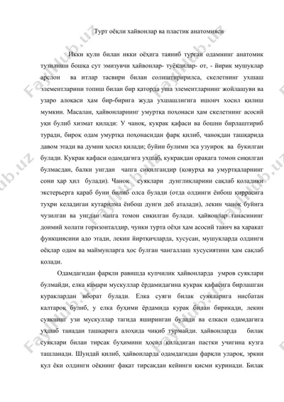 турт оёқли хайвонлар ва пластик анатомияси — DOC