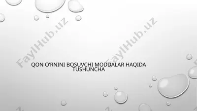 qon o’rnini bosuvchi moddalar haqida tushuncha — PPTX