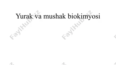 yurak va mushak biokimyosi — PPTX
