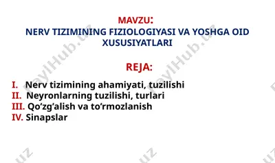 nerv tizimining fiziologiyasi va yoshga oid xususiyatlari — PPTX