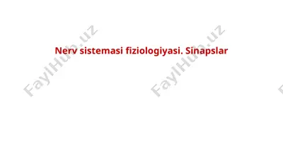 nerv sistemasi fiziologiyasi. sinapslar — PPTX