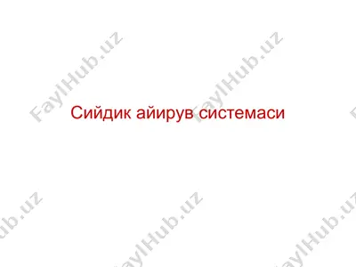 сийдик айирув системаси — PPTX