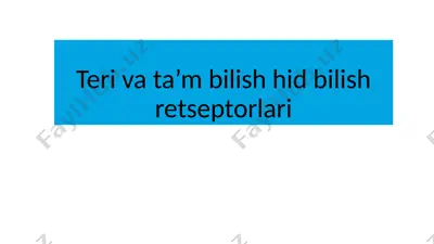 teri va ta’m bilish hid bilish retseptorlari — PPTX