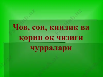чов, сон, киндик ва қорин оқ чизиғи чурралари — PPTX
