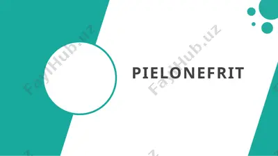 pielonefrit — PPTX