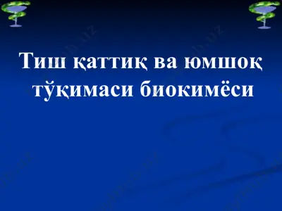тиш қаттиқ ва юмшоқ тўқимаси биокимёси — PPTX