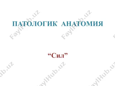сил — PPTX