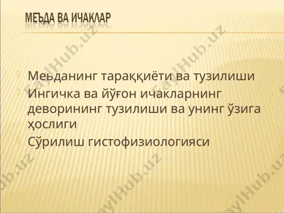 меъда ва  ичаклар — PPTX