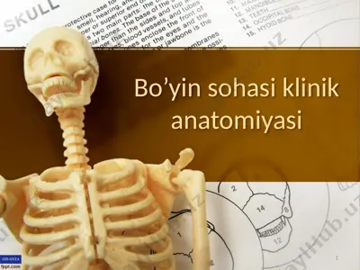 bo’yin sohasi klinik anatomiyasi — PPTX