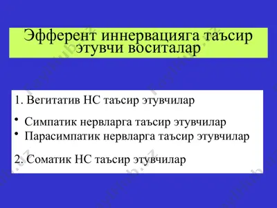эфферент иннервацияга таъсир этувчи воситалар — PPTX