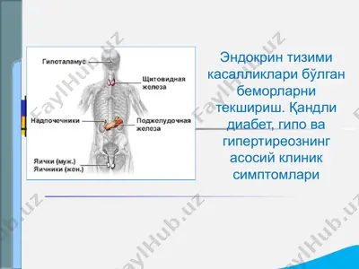 эндокрин тизими касалликлари бўлган беморларни текшириш. қандли диабет, гипо ва гипертиреознинг асосий клиник симптомлари — PPTX