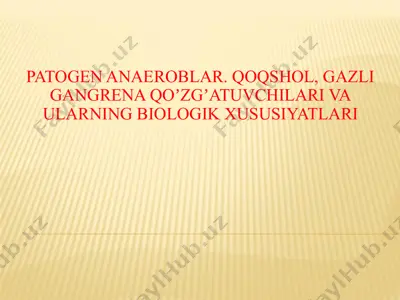 patogen anaeroblar. qoqshol, gazli gangrena qoʼzgʼatuvchilari va ularning biologik xususiyatlari — PPTX