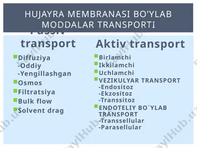 hujayra membranasi bo’ylab moddalar transporti — PPTX