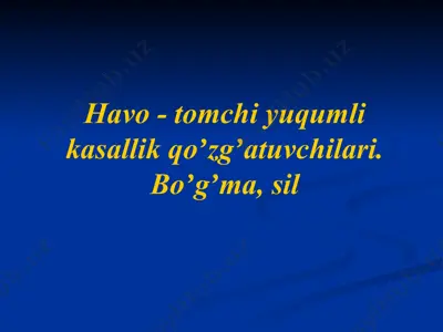 havo - tomchi yuqumli kasallik qoʼzgʼatuvchilari. boʼgʼma, sil — PPTX