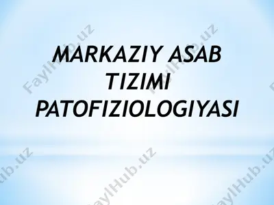 markaziy asab tizimi patofiziologiyasi — PPTX